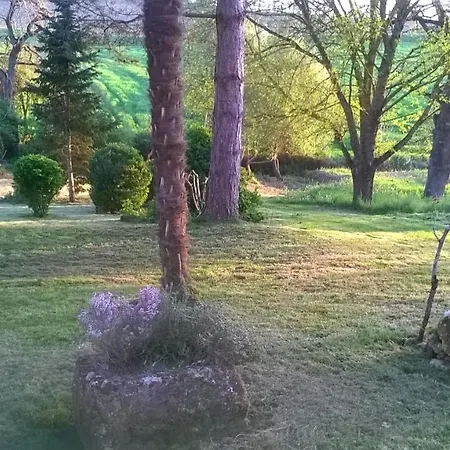 Le Logis Du Pradet Bed and breakfast Moncrabeau