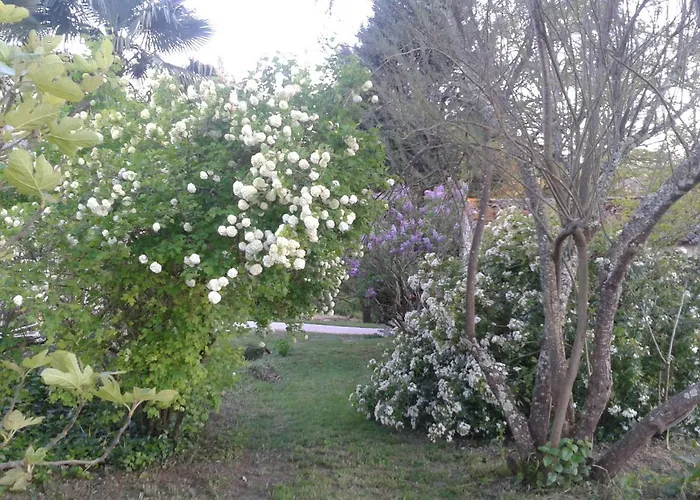 Le Logis Du Pradet Moncrabeau